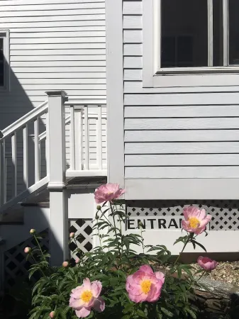 Lg/Charming Updated Farmhouse Historic Picturesque Walpole NH/VT Border Sleeps 9