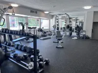 Newly Updated Modern Scottsdale Condo Old Town