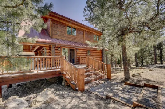 Luxury Log Cabin with Mountain Views on 2.5 Acres
