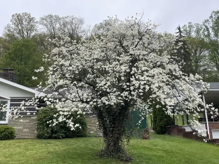 Enjoy the best of Central Pennsylvania, Raystown Lake, and Happy Valley.