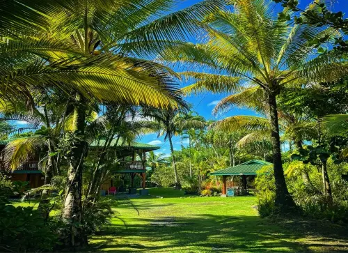 30% Off Sept Sale 9-13th-Book Now-Treehouse Vibe+AC+W&D+BBQ