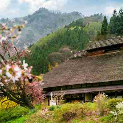 야키모치야 Others