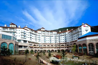 Stx Resort