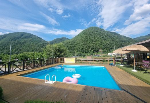 꽃들의물감찾기 대표 이미지