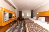 Ankara Plaza Hotel Hotels in Ankara