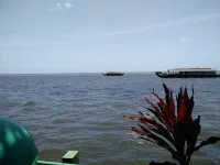 ILLIKKALAM Lakeside Cottages Kumarakom Kerala - Scenic