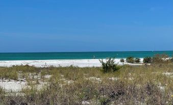 763 North Shore Downstairs 3 Bedroom Apts by RedAwning