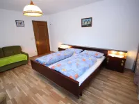 Apartment in Dienten Near Ski Lift