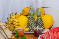 Pousada Morro Tropical