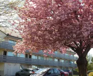 Campanile Reims Est - Taissy - Parking