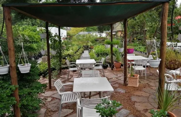 菲奧雷賓客住宿