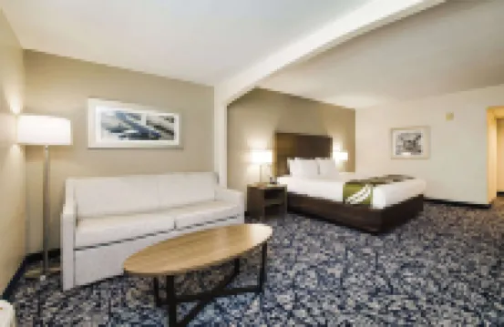 Quality Suites Houston Hobby Airport Hotels near William P. Hobby Airport
