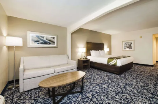 Quality Suites Houston Hobby Airport Hotels in Houston