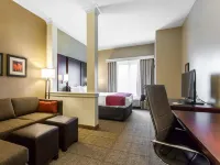 Comfort Suites-Youngstown North Hotels in Trumbull County