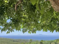 Rustic Hill Private Pool Suites Hotels in Ditiki Mani