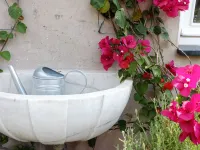 La Terrazza di Vico Olivi B&B Hotels in Ventimiglia