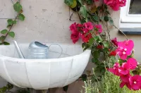 La Terrazza di Vico Olivi B&B