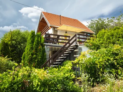 Kopacsi Hotels in 