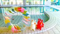 Kusatsu Now Resort Hotel - Pools