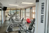 Hampton Inn Detroit/Roseville - Gym