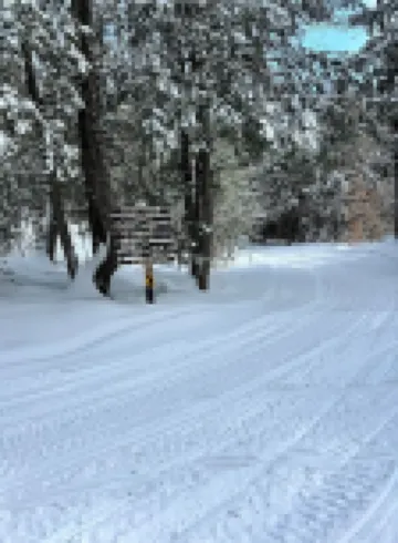 Vintage Adk Cabin- Great Deal, Perfect Location, Book Your Gore Mtn. Trip Today!
