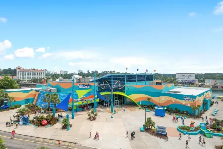 Coastal Serenity and Resort Amenities - Tranquil Retreat