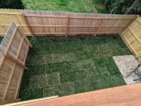 The Back Yard-Entire Building |Walk to Downtown |Yard for Games|Parking
