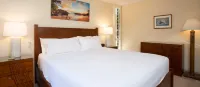Luxury Amenities and Tropical Ambiance - Charming Ocean View Oasis Hotels in Wailea