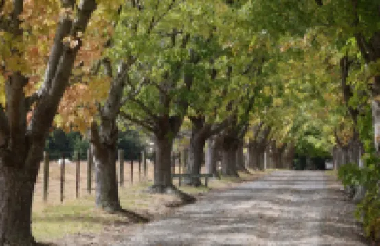 StayAU亞拉谷兩卧室小屋