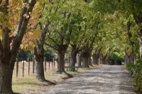 Stayau 2Br Yarra Valley Cottage