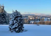 Wald-Ferienwohnung in Wildemann