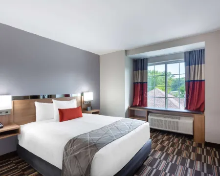Microtel Inn & Suites by Wyndham Amsterdam Hotels in Amsterdam