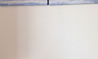 Tommy Condominium Wakasa301