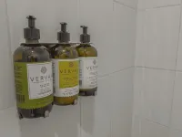 パラル 14 ブティック ホテル コンデサ周辺のホテル