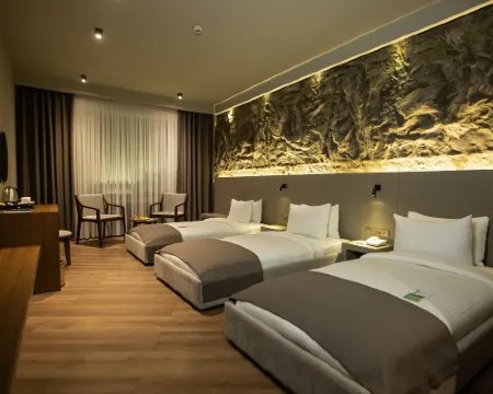 The Erzurum Hotel Erzurum otelleri