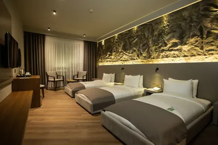 The Erzurum Hotel