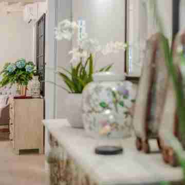 Casa Blanc in Lucca with 1 Bedrooms and 1 Bathrooms Others