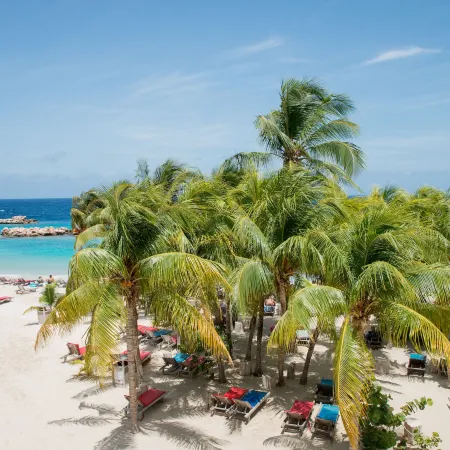 LionsDive Beach Resort