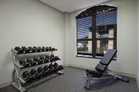 Residence Inn DFW Airport North/Grapevine - Gym
