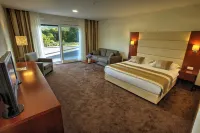 Hotel Palace Medjugorje Hotels in Bijakovici