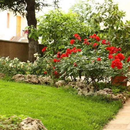 B&b Igea 50