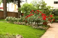 บีแอนด์บี อิเจอา 50 โรงแรมใน