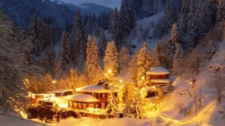 Ayder Avusor Hotel Отели в г. Yukarisimsirli Koyu