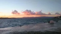 蛤蜊別墅飯店 - 海景