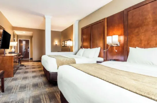 คอมฟอร์ตสวีทส์ ยูนิเวอร์ซิตี้ โรงแรมใน