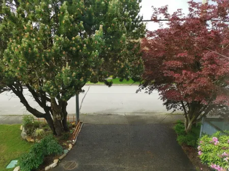 Better Bed Отели рядом с достопримечательностью «Sunwing»