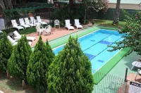 Elkira Court Motel - Pools