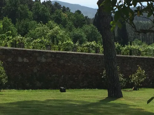 Albergo Villa Marta, the Originals Relais (Relais du Silence) Ngoại thất Photos