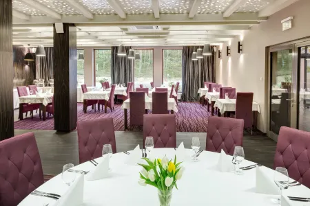 Hotel Natura Residence Business&SPA Отели в г. Меженцице