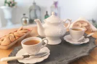 رومانتيك دريمز جيست هاوس